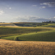 Countryside panorama in Tuscany, rolling hills and wheat fields at sunset. Santa Luce. - PhotoDune Item for Sale