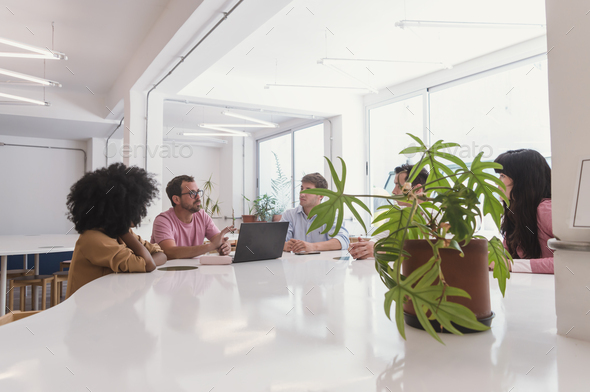 group of business people meeting talking in ecological office with computer and plants on the table