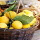 Basket with ripe lemons on the market, harvest of citrus fruits. - PhotoDune Item for Sale