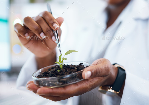 Science, plants and black woman research growth, agriculture development and food security in medic