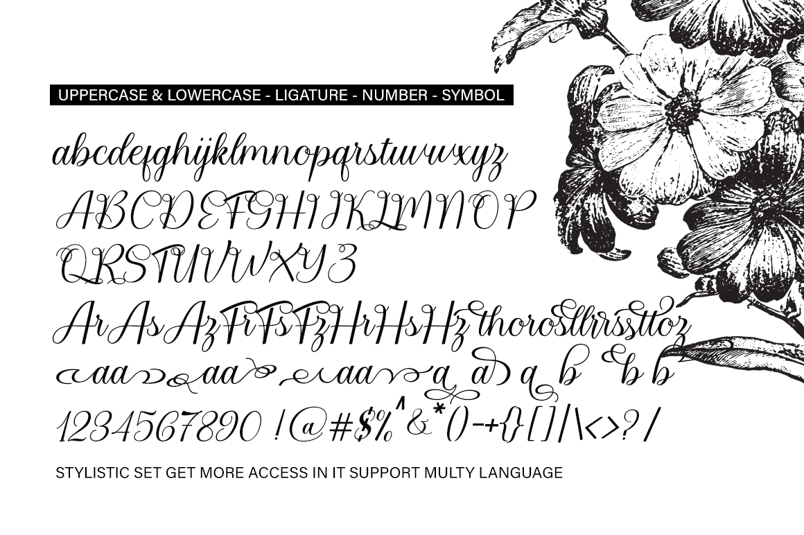 Bailies Script, Fonts | GraphicRiver