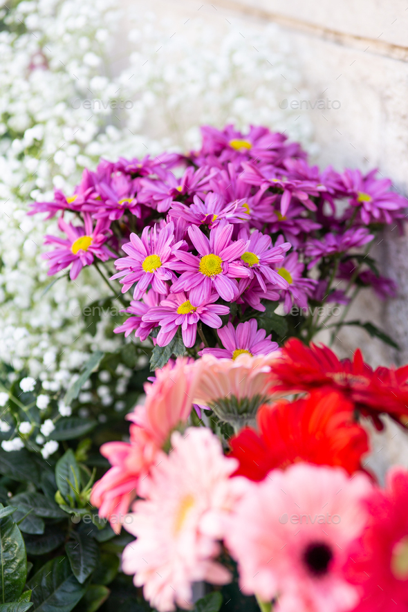 colorful flower bouquet. - Stock Photo - Images