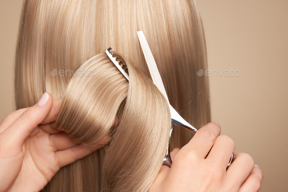 Hairdresser cuts long blonde hair with scissors
