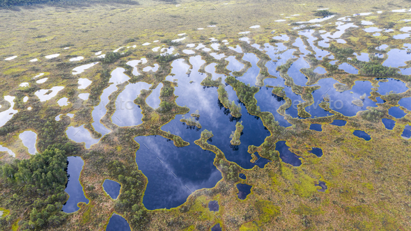 View To The Complex Pattern Of Peat Bog Pools And Intermediate Ridges 