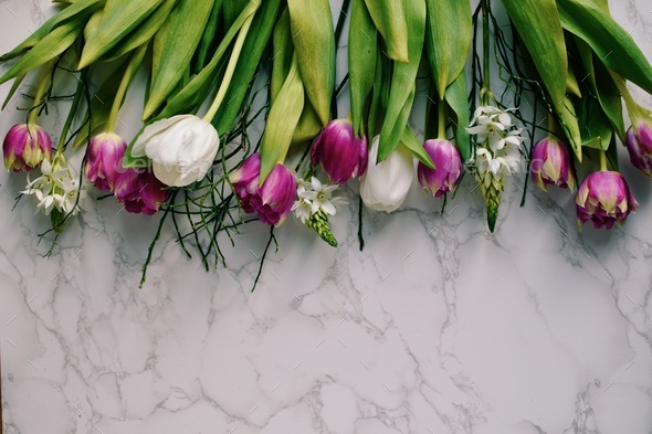 Tulips on marble background  - Stock Photo - Images