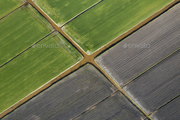 Aerial shot of the giometric shapes of the fields - Stock Photo - Images
