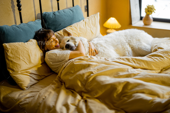 Woman lying with her huge and cute dog in bed Stock Photo by RossHelen