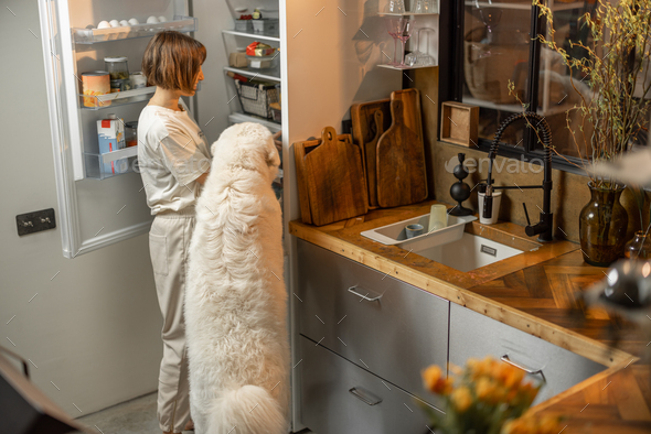 Woman looks into a fridge with her dog - Stock Photo - Images