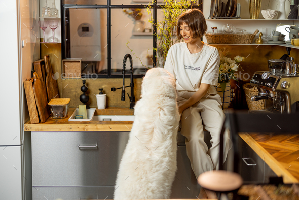 Woman plays with her dog on kitchen at home - Stock Photo - Images