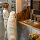 Woman looks into a fridge with her dog - PhotoDune Item for Sale
