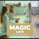 LUTs Magic - VideoHive Item for Sale