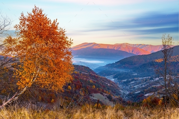 Giant valley surrounded by forestry mountains in highland Stock Photo ...