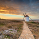Beautiful sunrise over the Manchegos windmills - PhotoDune Item for Sale