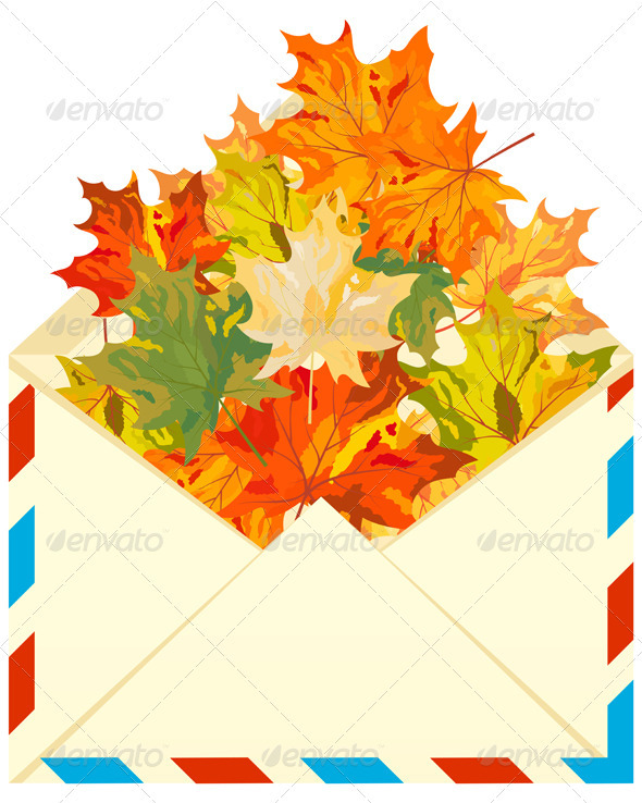 Autumn Maple - Seasons Nature