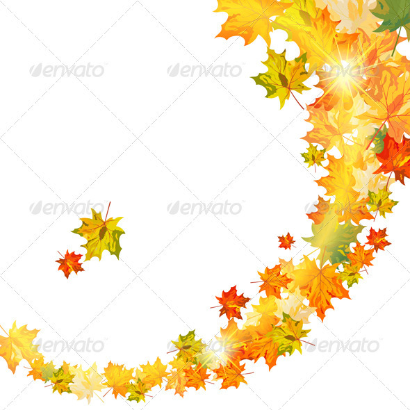 Autumn Background - Seasons Nature