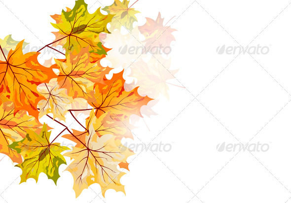 Autumn Background - Seasons Nature