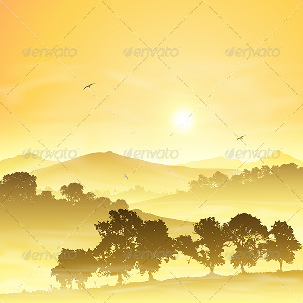 Misty Landscape - Landscapes Nature