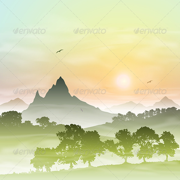 Misty Forest Landscape - Landscapes Nature