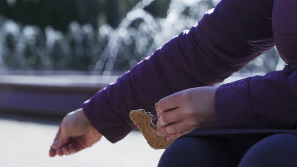 Close-up woman's hands feeds the birds