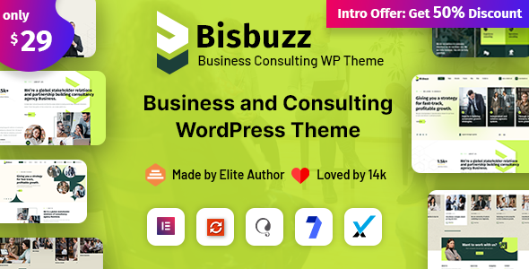 Bisbuzz v. –  Business Consulting Theme
