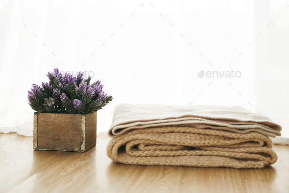 Closeup of potted French lavender and folded blankets on a wooden table under the lights