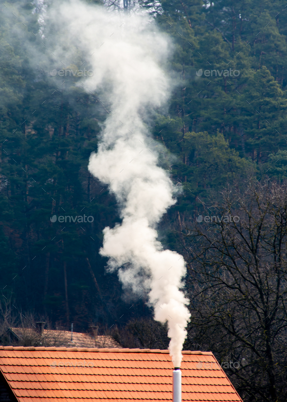 Vertical shot of smoke coming out of a chimney of a building in a forest