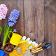 Garden tools, hyacinth flowers and plants on a rustic wooden background - PhotoDune Item for Sale