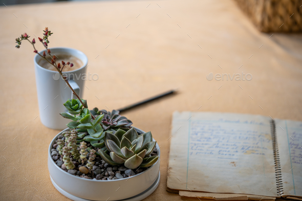 Selective focus shot of an echeveria on a wooden table with coffee, an old journal, and a pencil