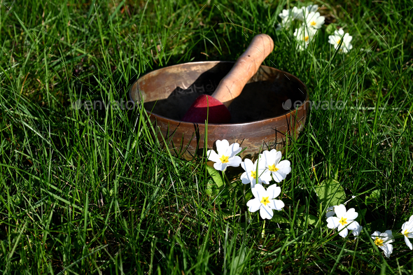 Singing bowl in grass. English translation of mantras : transform your impure body