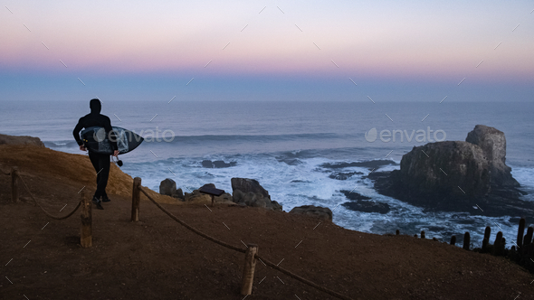 surfer go surfing, blue hour, black surfboard and wetsuit, sunrise in punta  de lobos Pichilemu Chile Stock Photo by wirestock