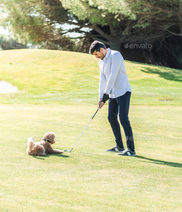 Young Caucasian male playing with his Goldendoodle dog on a professional golf course