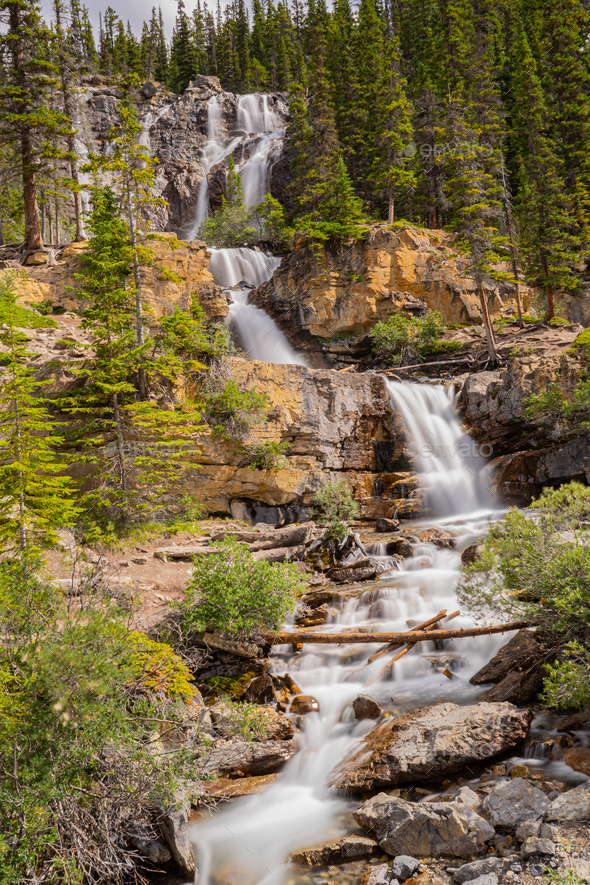 Vertical shot of a waterfall flowing on the rocks in a forest Stock ...