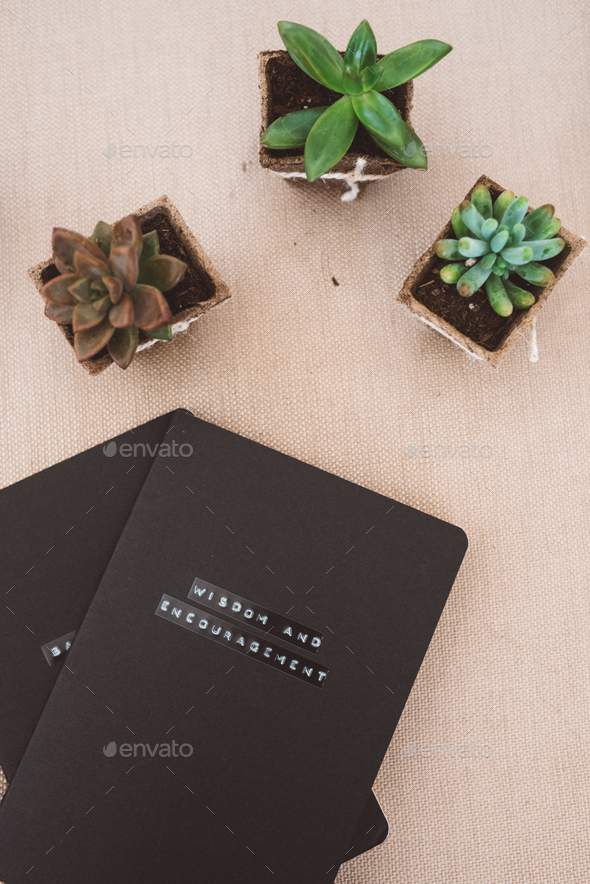 Vertical shot of a handmade journal book beside succulent in pots isolated on a pink surface