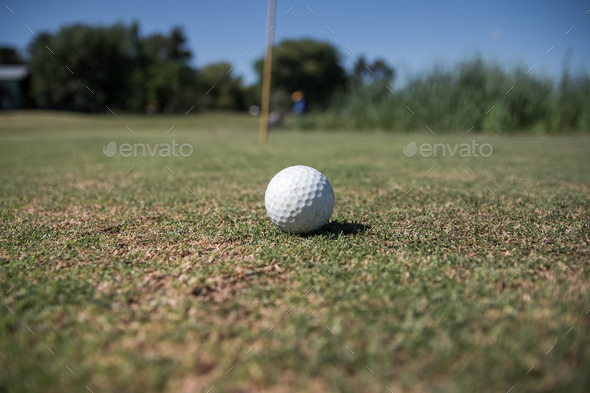 Selective focus shot a golf ball in the Golf camp court