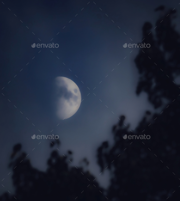 Moon in if first quarter phase with blurry tree silhouettes at night