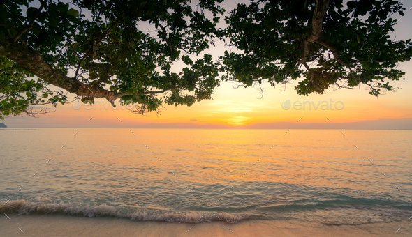 Beautiful sunset at tropical paradise beach. View from under the tree at seaside in the evening - Stock Photo - Images