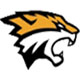 TigerSoftTheme