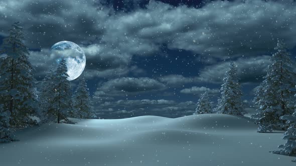 Christmas and New Year forest with snow and fir trees and the moon is shining.