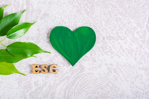 ESG environmental social management policy. Green heart, letters and leaves on a gray background.
