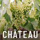 Château - Winery and Wine Shop Theme