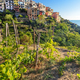 Corniglia in Cinque Terre, Italy with vineyards and terraces - PhotoDune Item for Sale