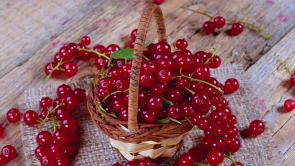 Redcurrant in Basket on Brown Wooden Table Rotating