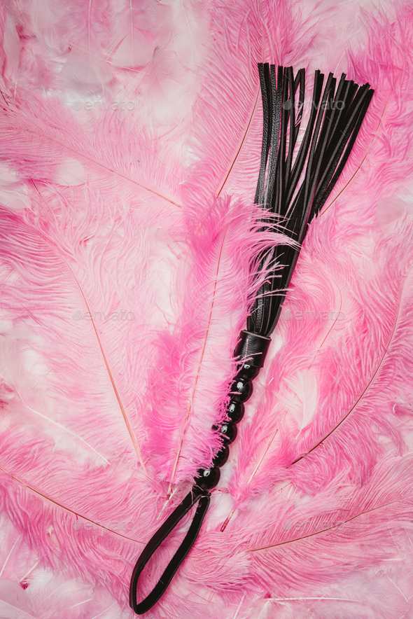 Black strict leather flogging whip on pink feathers Stock Photo by ...