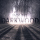 DarkWood title intro DarkWood title intro - VideoHive Item for Sale