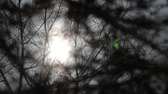 Reflection In The River 2