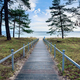 Path with access to the sea, seascape. - PhotoDune Item for Sale