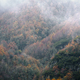 Lush autumn forests fill the valleys boxed in by schist cliffs - PhotoDune Item for Sale
