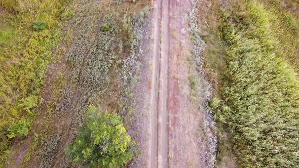 A country road among fields alt