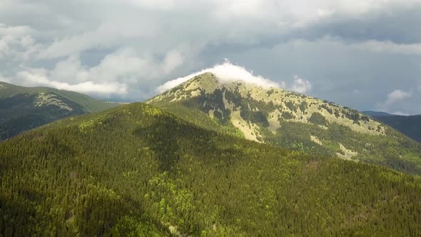 Aerial view of high mountains covered with green spruce forest in cloudy summer weather. alt