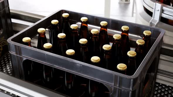 Plastic crates full of freshly brewed beer bottles on a factory pipeline. 4KHD alt